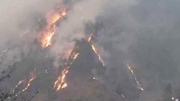 थराली के जंगलों में लगी भीषण आग