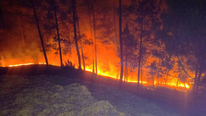 बढ़ती गर्मी के साथ विकराल रूप धारण करने लगी जंगलों की आग बढ़ती गर्मी के साथ विकराल रूप धारण करने लगी जंगलों की आग
