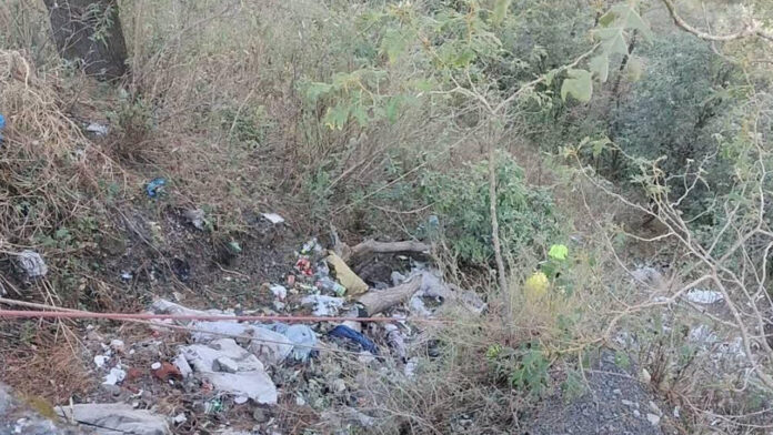 देहरादून-मसूरी मार्ग पर खाई में गिरा ट्रक, चालक की मौत, हेल्पर गंभीर देहरादून-मसूरी मार्ग पर खाई में गिरा ट्रक, चालक की मौत, हेल्पर गंभीर